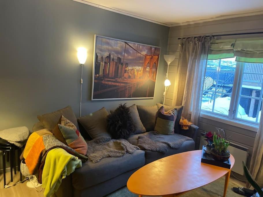 Appartement Koselig Leilighet , Med Parkering Og Ski In &Out. à Oppdal Extérieur photo