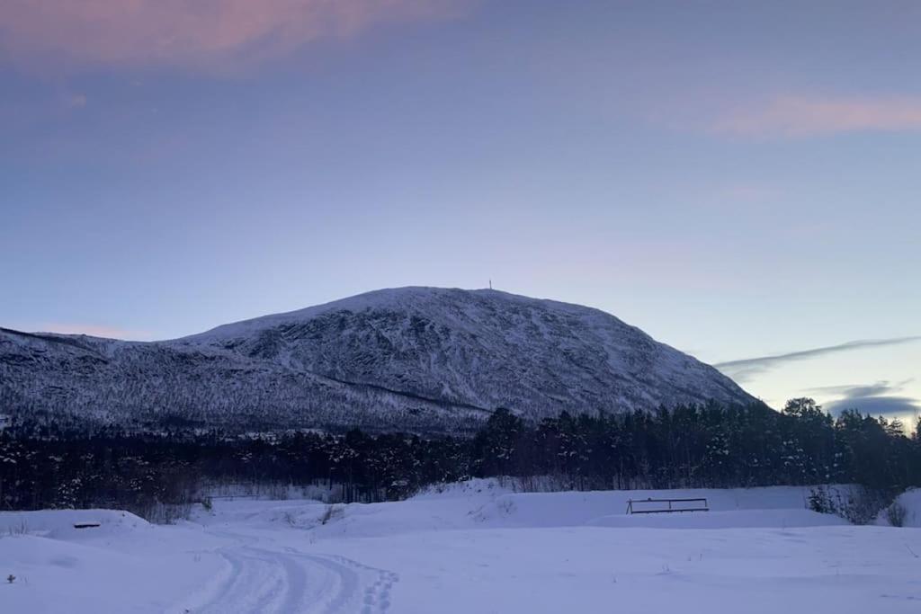 Appartement Koselig Leilighet , Med Parkering Og Ski In &Out. à Oppdal Extérieur photo